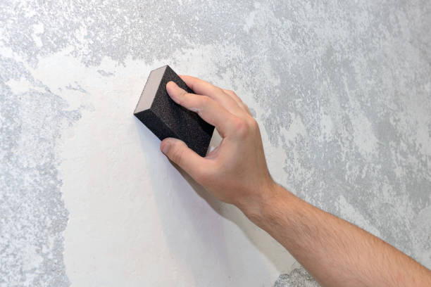 Best Air Quality Testing for Mold Spores  in Boardman, OR